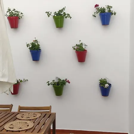 El Rincon De Madera - Apartamento Centrico En Conil Conil De La Frontera Exterior photo